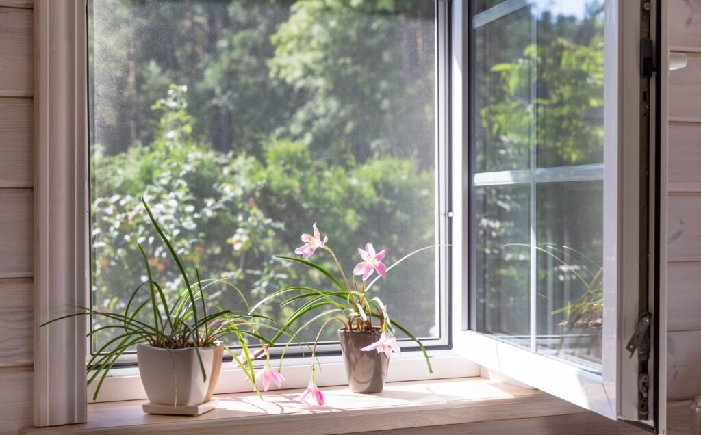 UPVC Windows - Swallow Glazing
